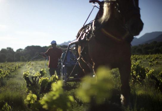 ���� �� ��������� �� ��� ����